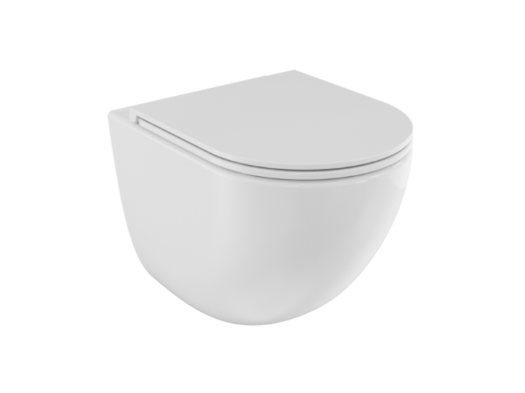 z10.png