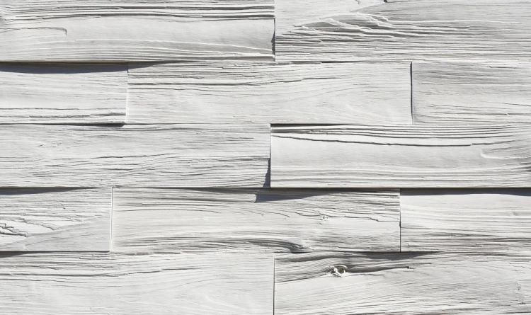 TIMBER_2_t.webp
