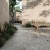 navona_grey_cross1.jpg