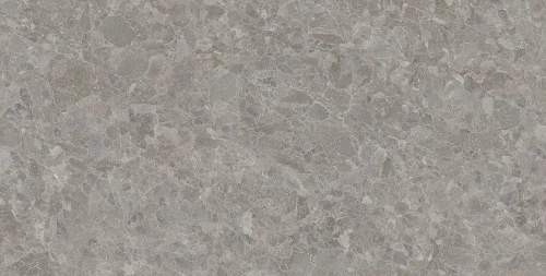 keystone_fossil1_novabell.webp