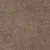 open_tortora.webp