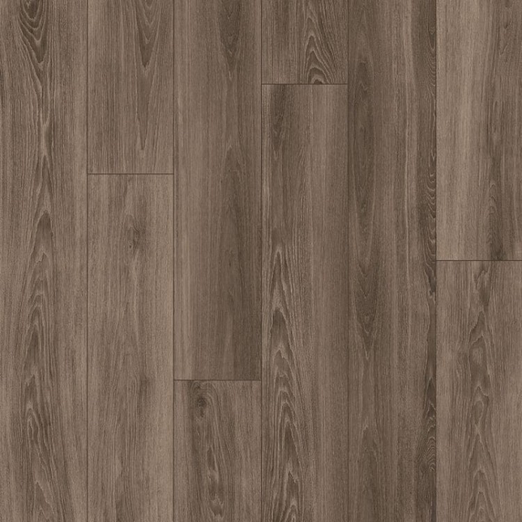 eco_chic_brown_abk.jpg