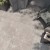 ghost_rope_abk2.jpg
