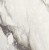 renoir.jpg