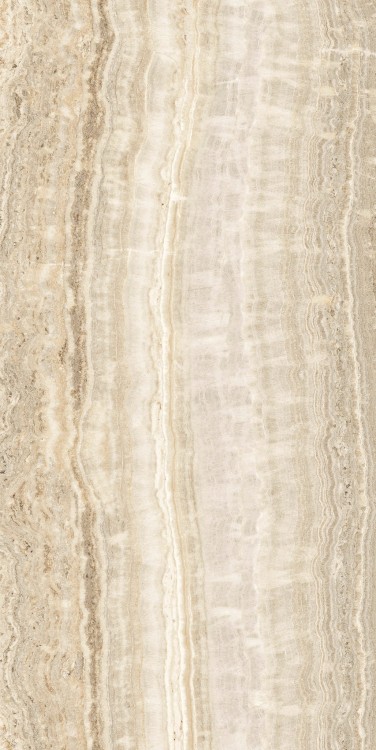 almond1.jpg