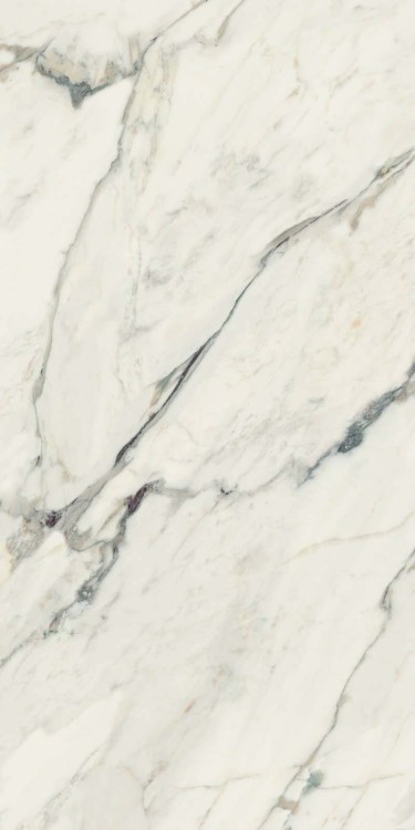 breccia capraia.jpg