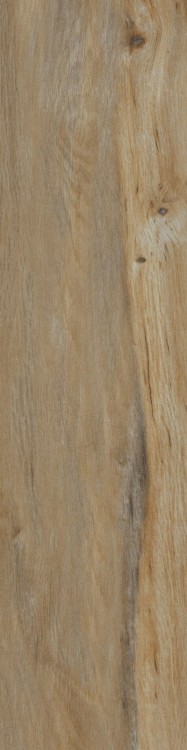 Lecccio 10x40 Classico 2.jpg