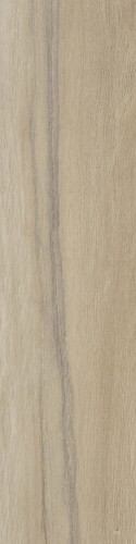 Lecccio 10x40 Gentile 1.jpg