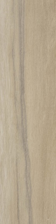 Lecccio 10x40 Gentile 1.jpg