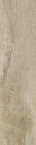 Lecccio 10x40 Gentile 2.jpg