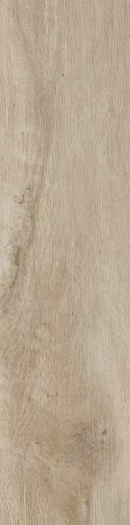 Lecccio 10x40 Gentile 2.jpg