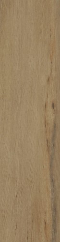 Lecccio 10x40 Oliato 1.jpg