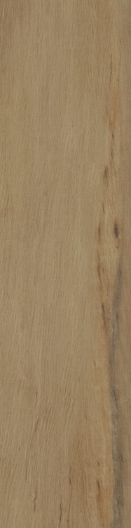 Lecccio 10x40 Oliato 1.jpg
