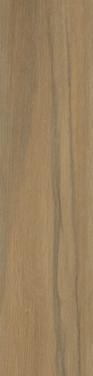 Lecccio 10x40 Oliato 2.jpg