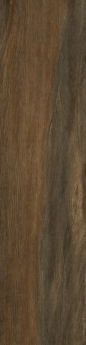 Lecccio 10x40 Verniciato 1.jpg