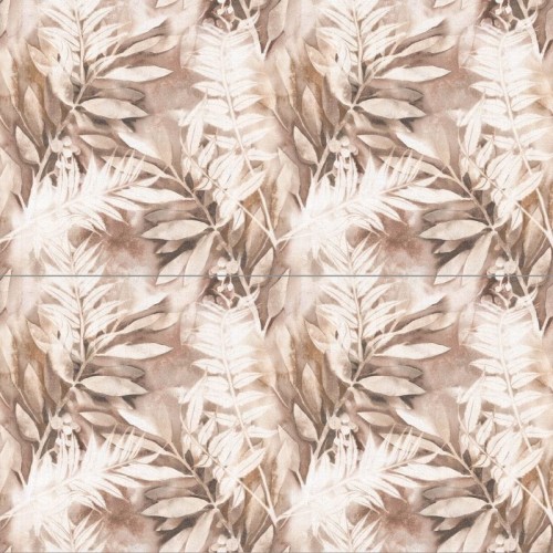 fern.jpg