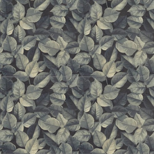 foliage.jpg
