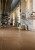 STUDIO 50-5.jpg