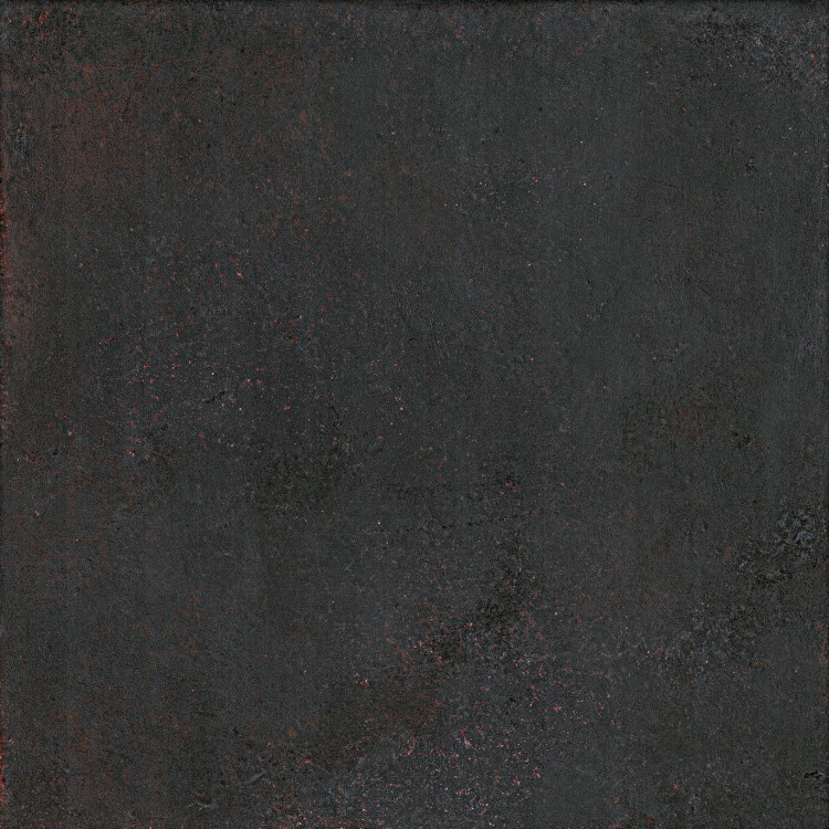 CORVINO 4.jpg