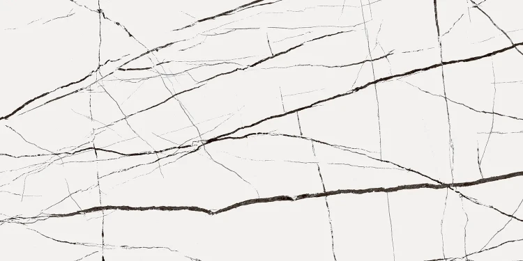 EXT_SCENIC_60X120.webp