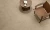 CANVE_TEA_ROOM_ARGILE_DET.webp