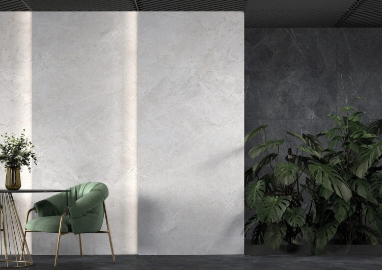 distinct-white-graphite-cam2.jpg