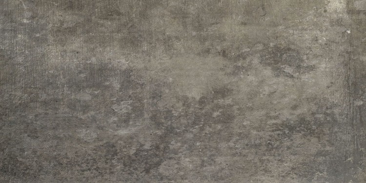 gris1.jpg