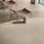 nature beige1.jpg