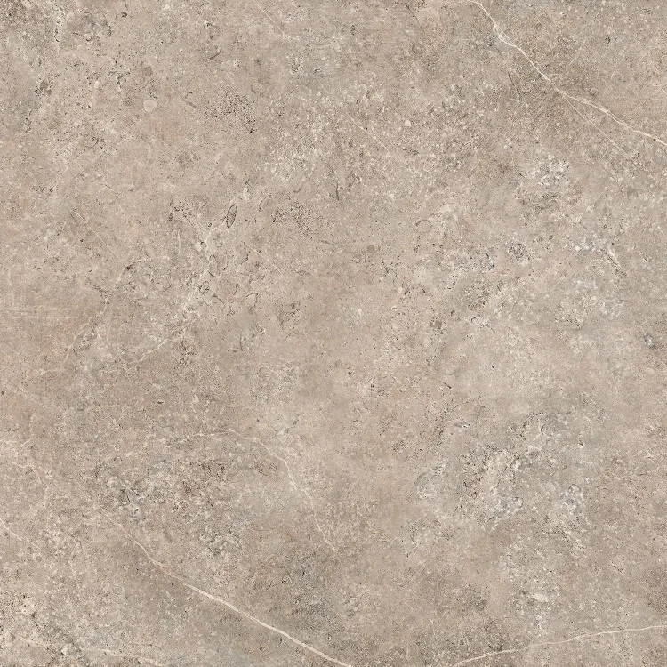 LST_TAUPE.webp