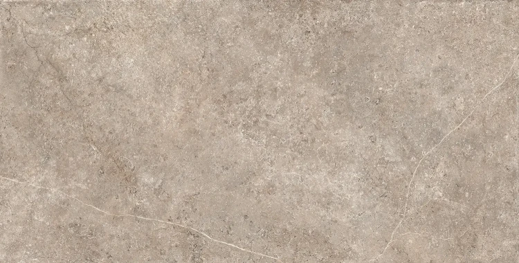 LST_taupe_60x120.webp