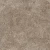 LST_EARTH.webp