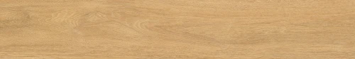NORF31_AMBER_20x120_5fine.webp