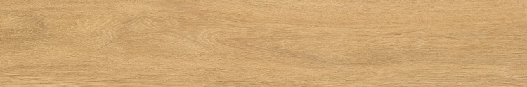 NORF31_AMBER_20x120_5fine.webp