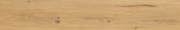 NORB91_AMBER_20x120_2BOLD.webp