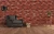 316.webp