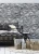 354.webp