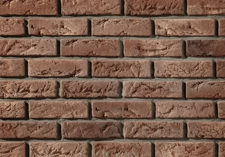 CAMBRIDGE_4_stegu.png