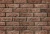 CAMBRIDGE_4_stegu.png